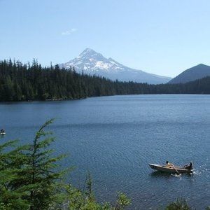 Meet your Posher, Glenna